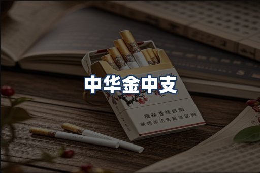 中华金中支